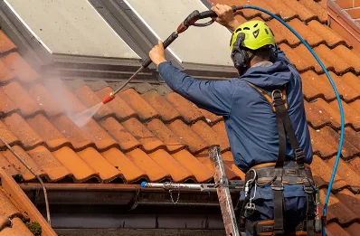 Démoussage et hydrofuge de toiture à Obterre